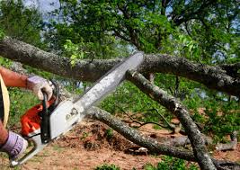 Lawn Drainage Solutions in Gulf Shores, AL