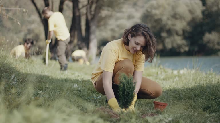 Best Lawn Irrigation Installation and Maintenance  in Gulf Shores, AL